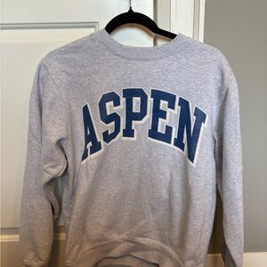 Vintage Light Grey and Blue Aspen Brandy Melville Crew